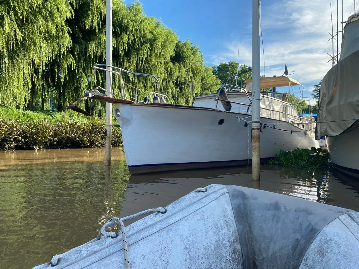 Clasico Tipo Ortholan