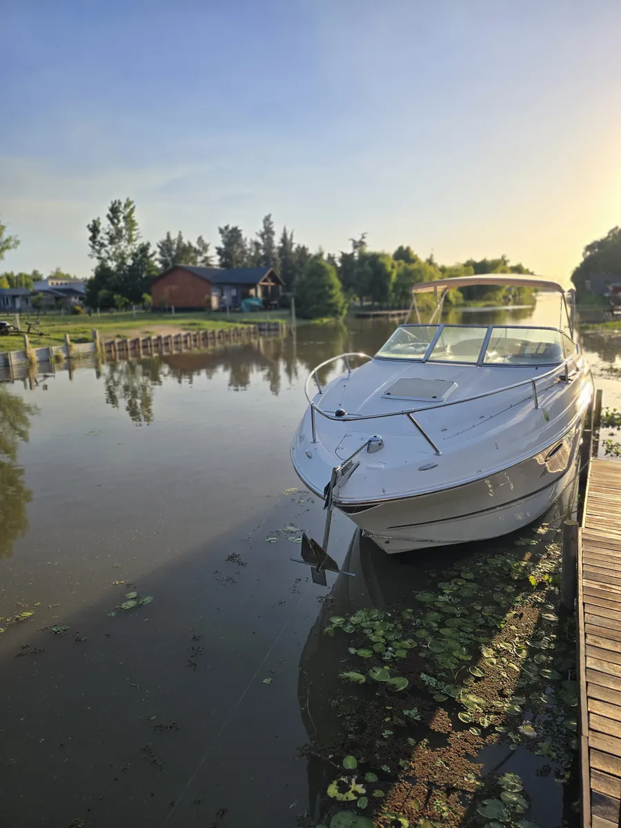 Canestrari 275 Crossover