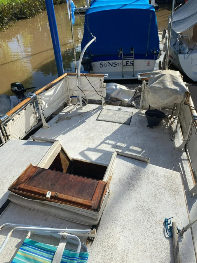 Clasico Tipo Ortholan