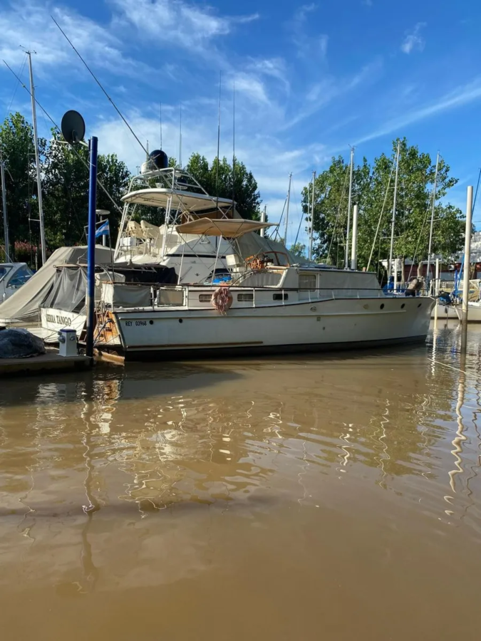 Clasico Tipo Ortholan