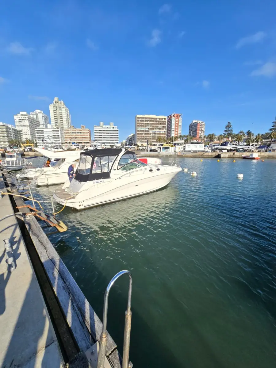 Sea Ray Sundancer 340