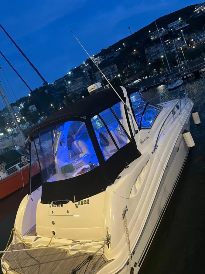 Sea Ray Sundancer 340
