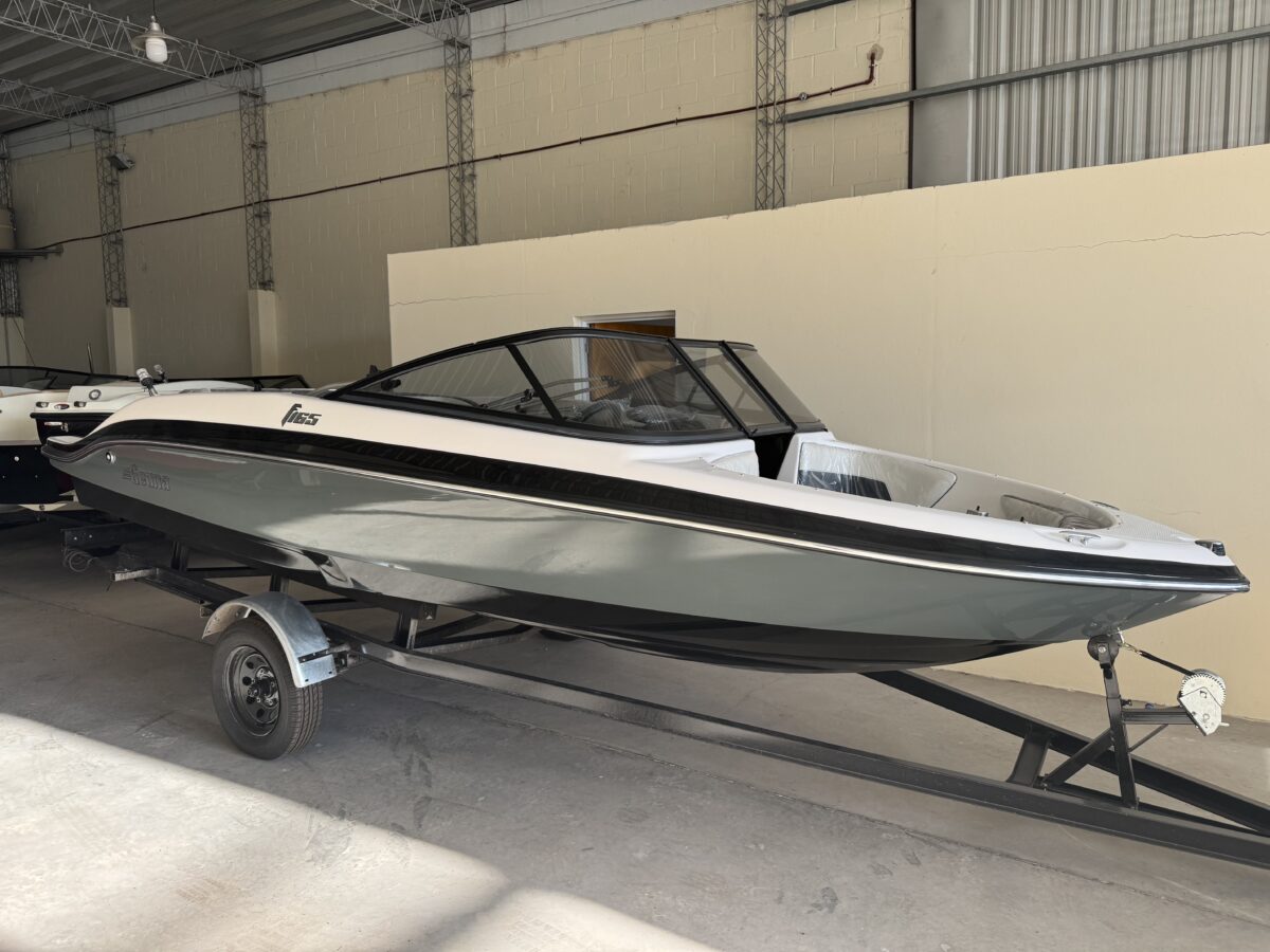 Lancha Geuna F165 full