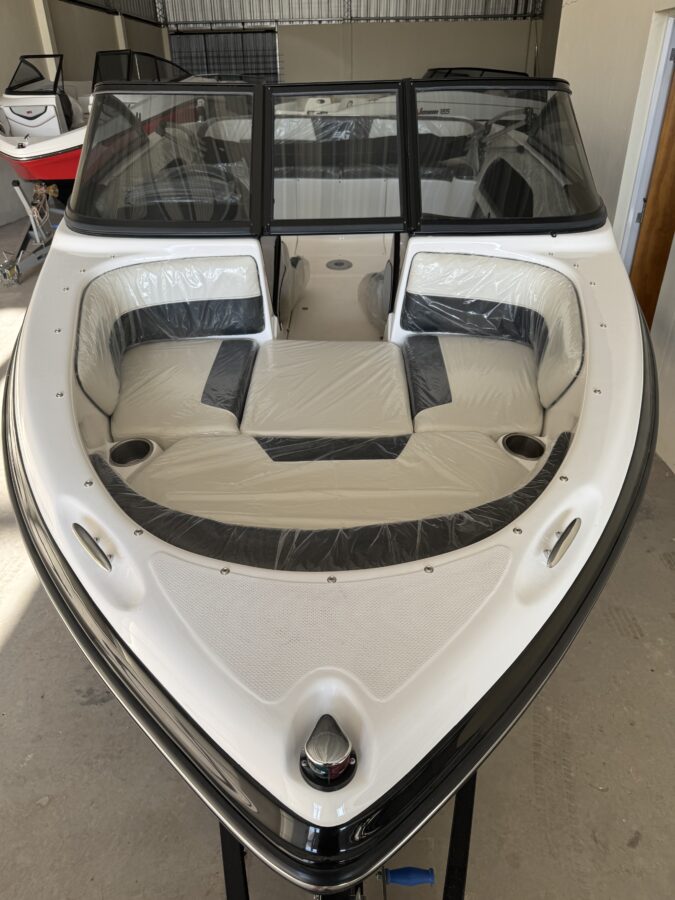 Lancha Geuna F165 full