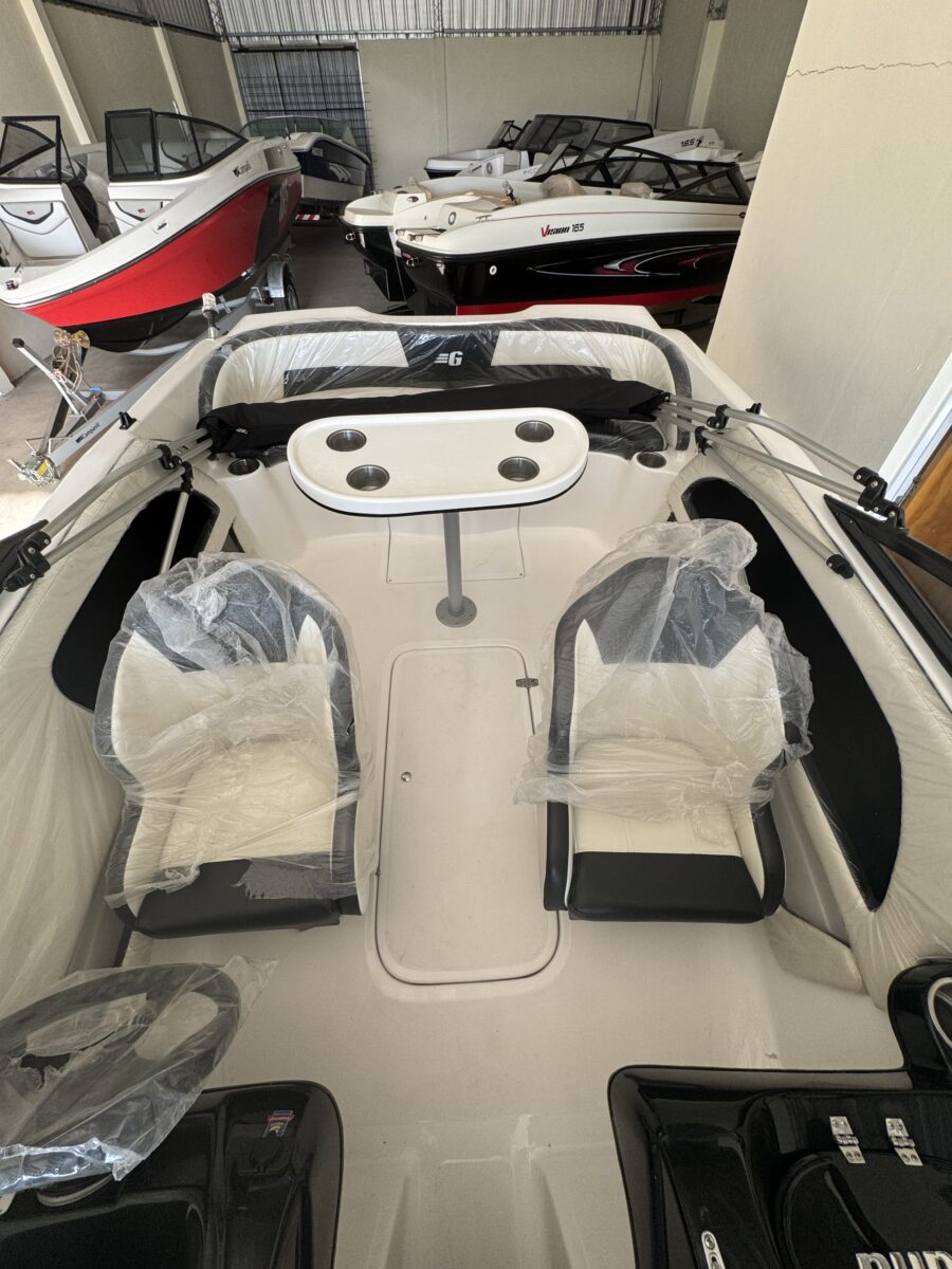 Lancha Geuna F165 full