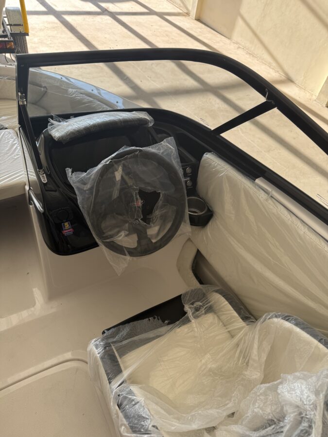 Lancha Geuna F165 full