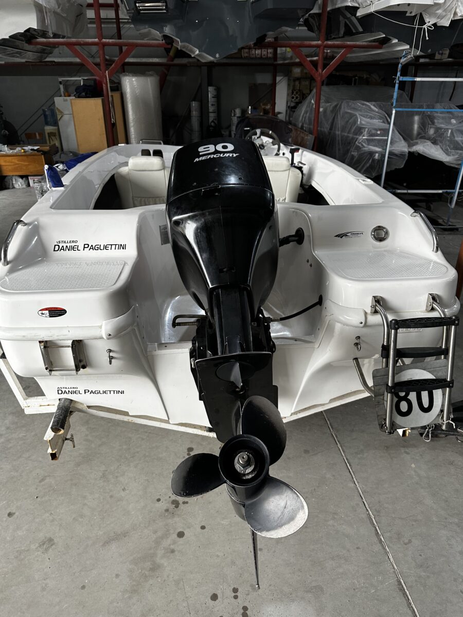 Pagliettini 5300 Fish 1