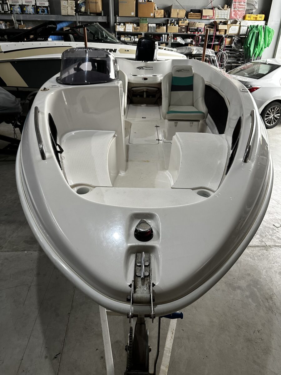 Pagliettini 5300 Fish 1