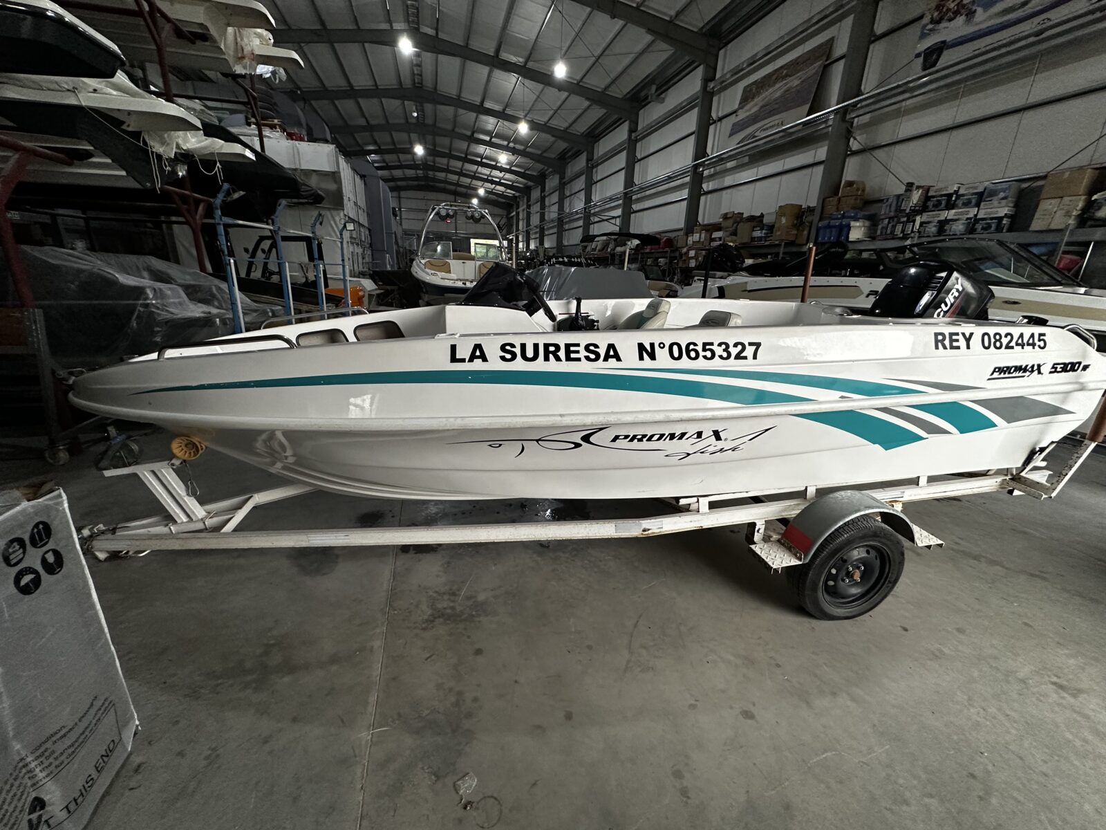 Pagliettini 5300 Fish 1