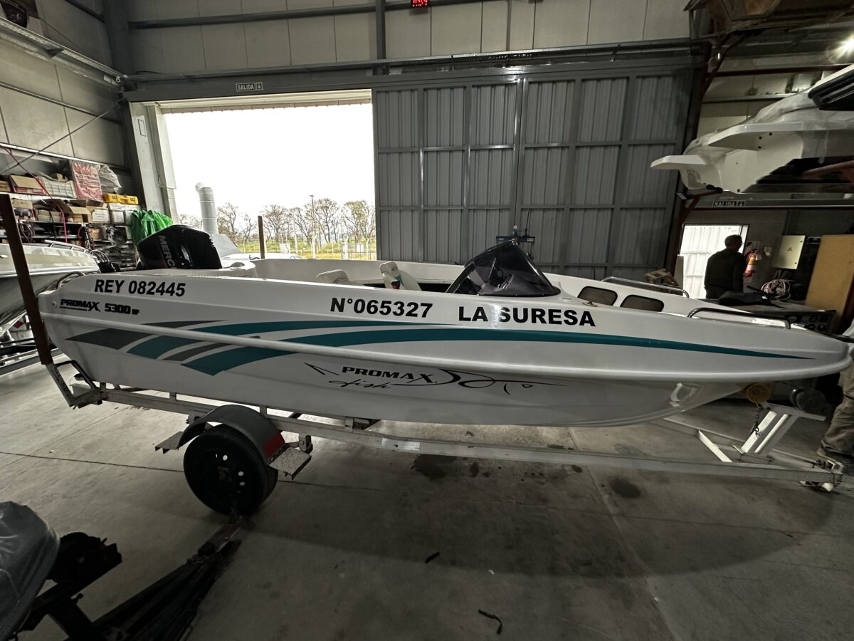 Pagliettini 5300 Fish 1