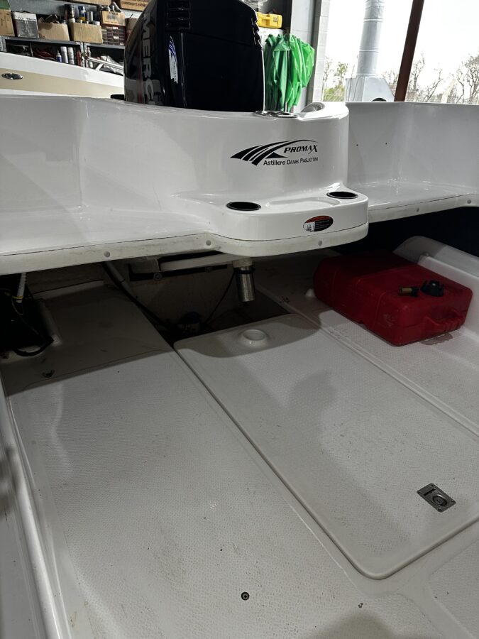 Pagliettini 5300 Fish 1