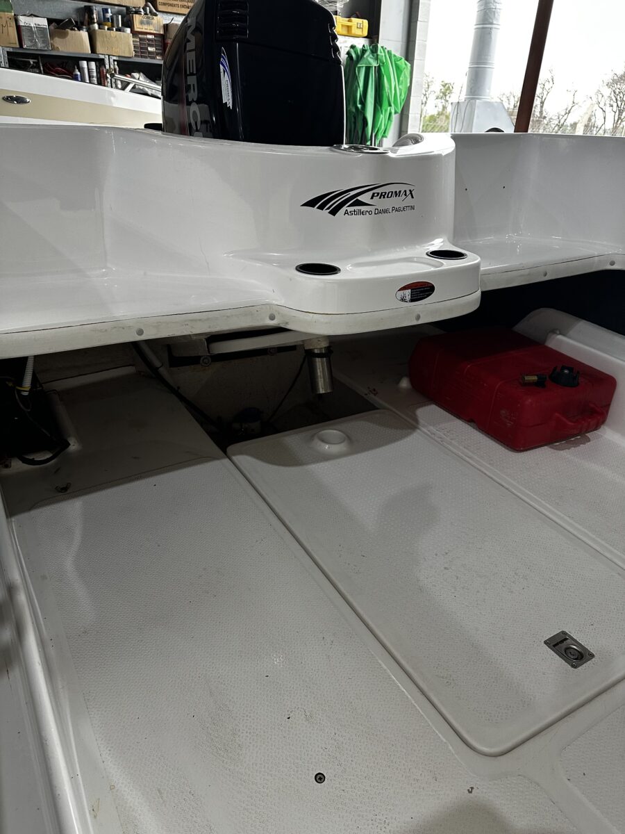 Pagliettini 5300 Fish 1