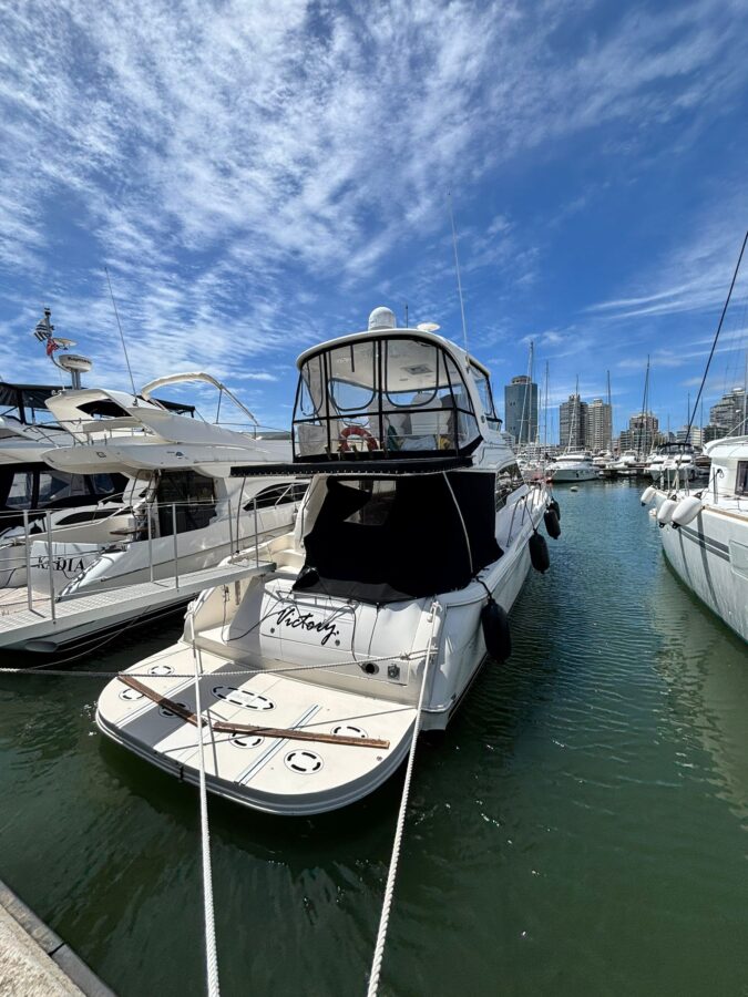 Sea Ray 48 sedan bridge