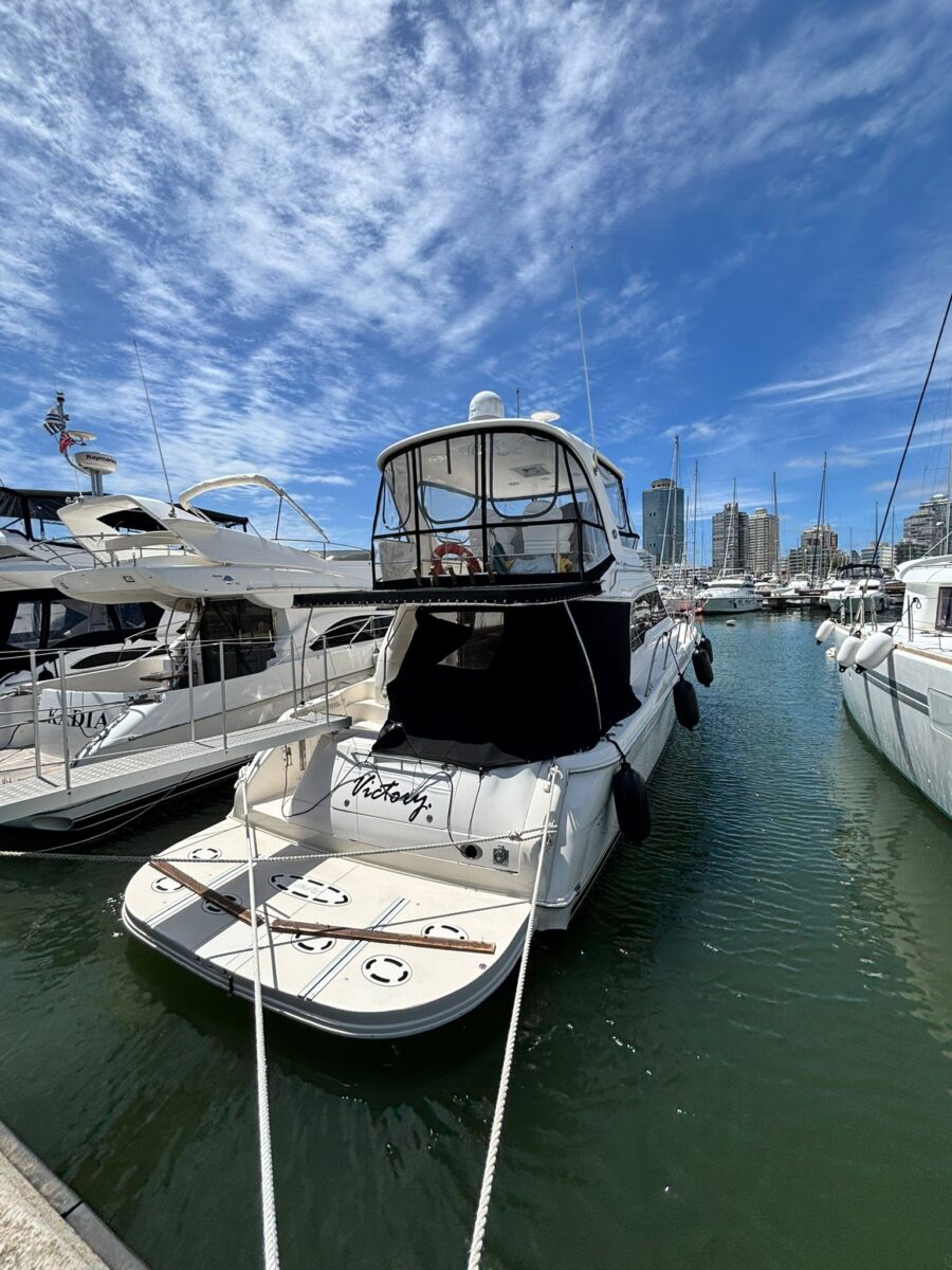Sea Ray 48 sedan bridge