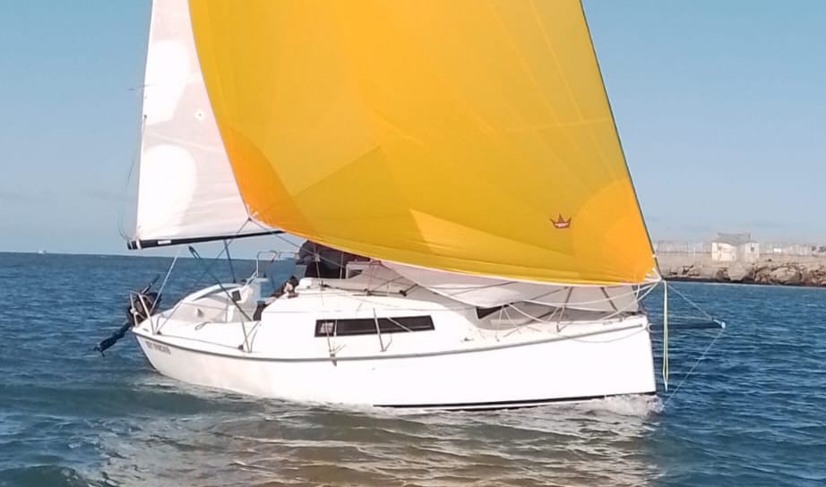 Velero Oceanic 22