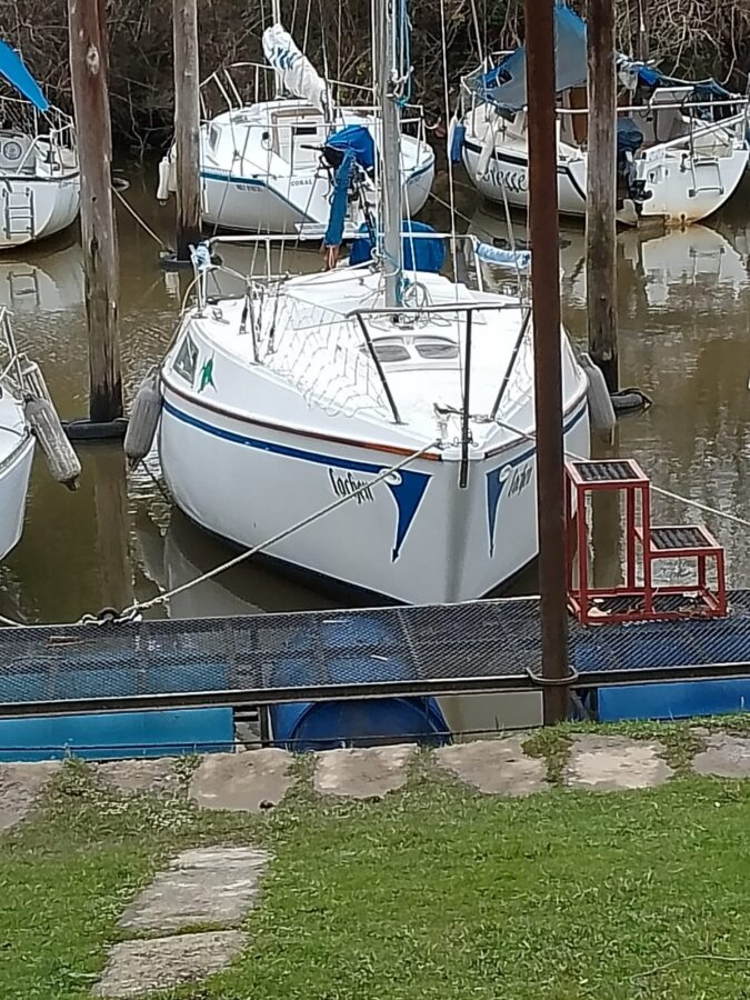 Velero ROY 20