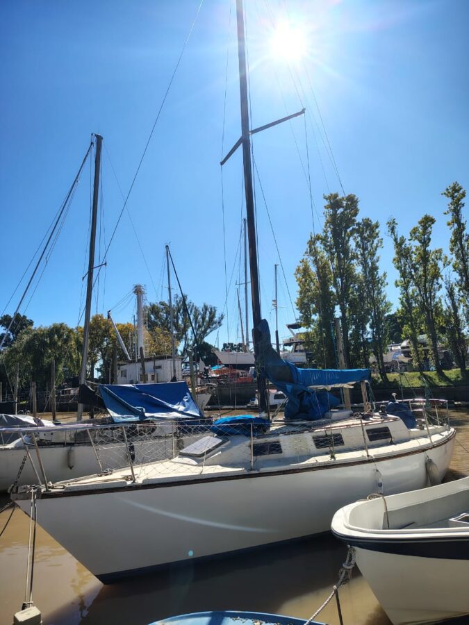 Velero Silver 31
