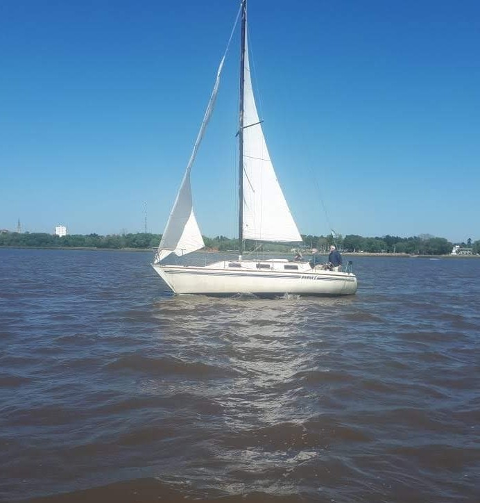 Velero Silver 31